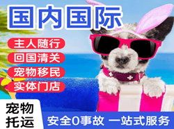 吕梁国际宠物托运 【国